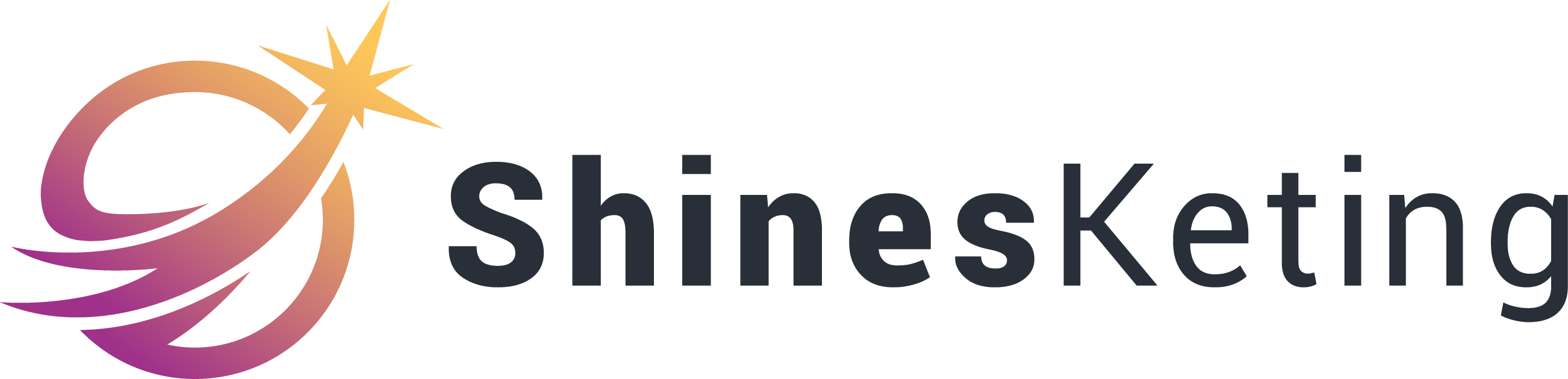 Logo - shinesketing - agencia - marketing - publicidad